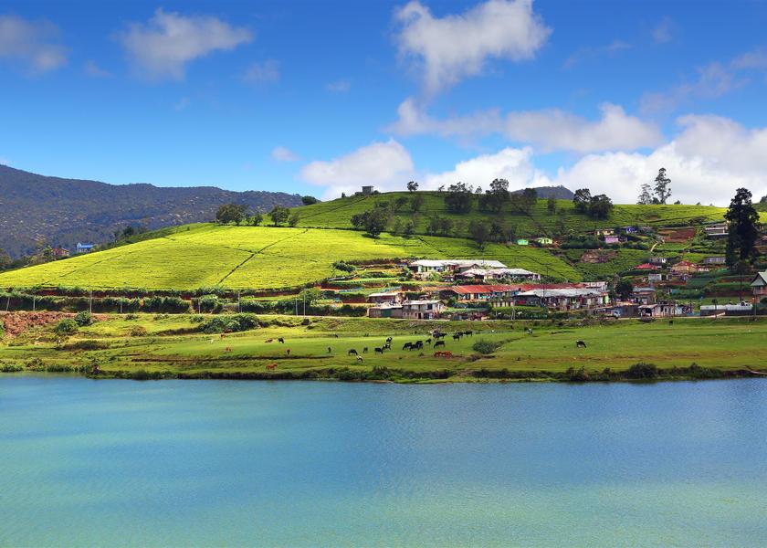 Central Province Nuwara Eliya 