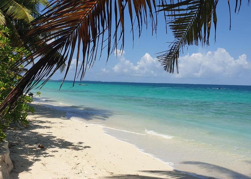 South Ari Atoll Dhigurah Beach