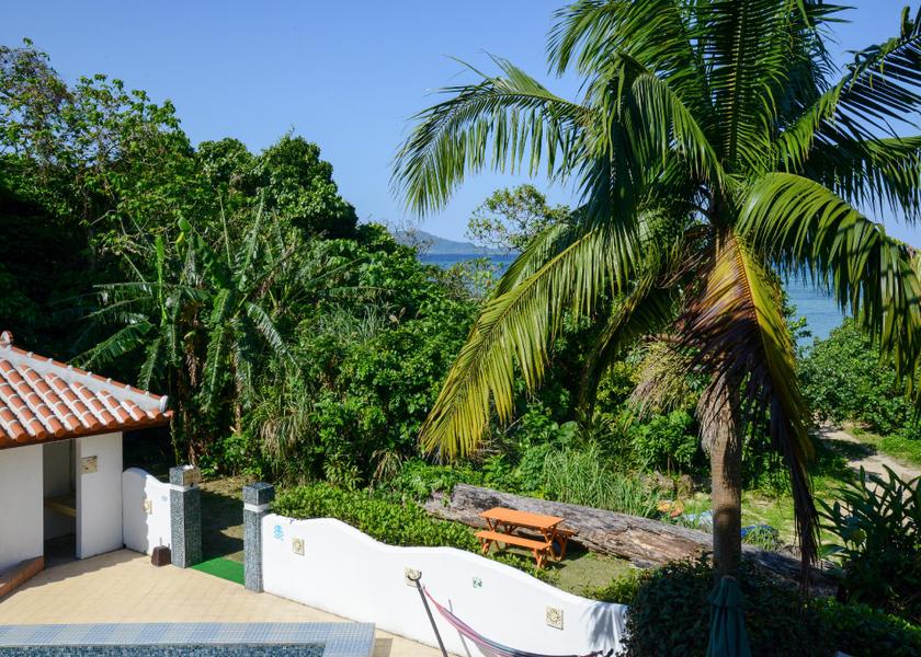 Okinawa Ishigaki 