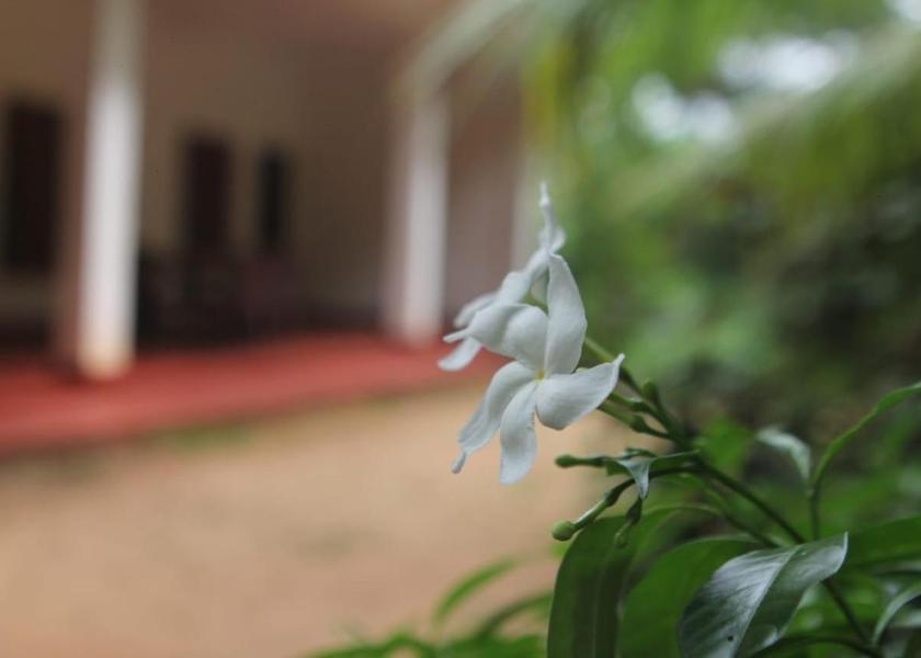 North Central Province Anuradhapura 