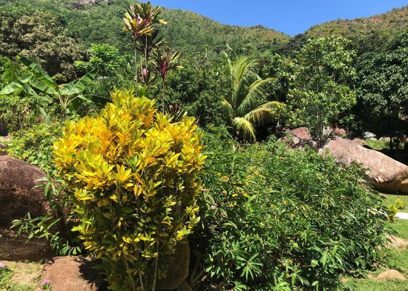  Praslin Island Exterior view