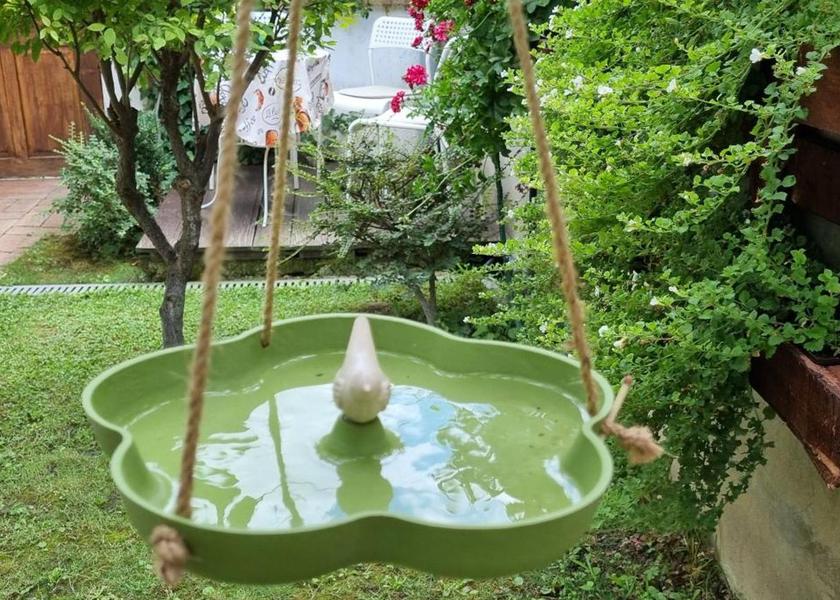 Baranya Pecs Garden