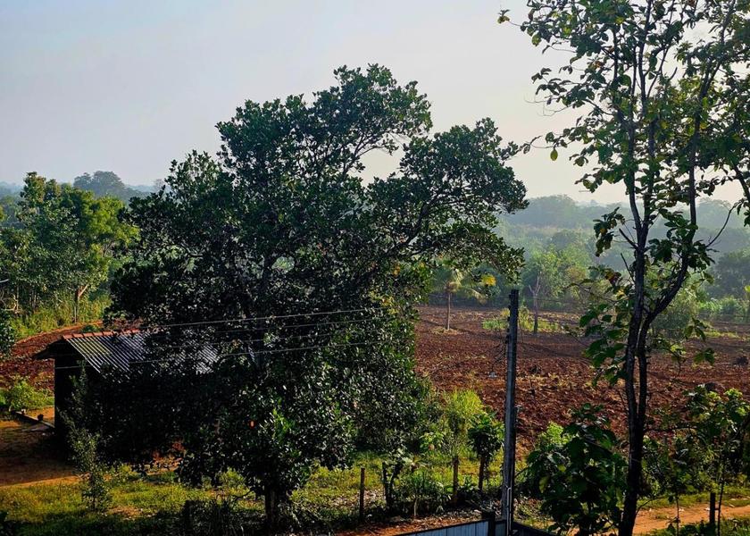 Sabaragamuwa Province Udawalawa 