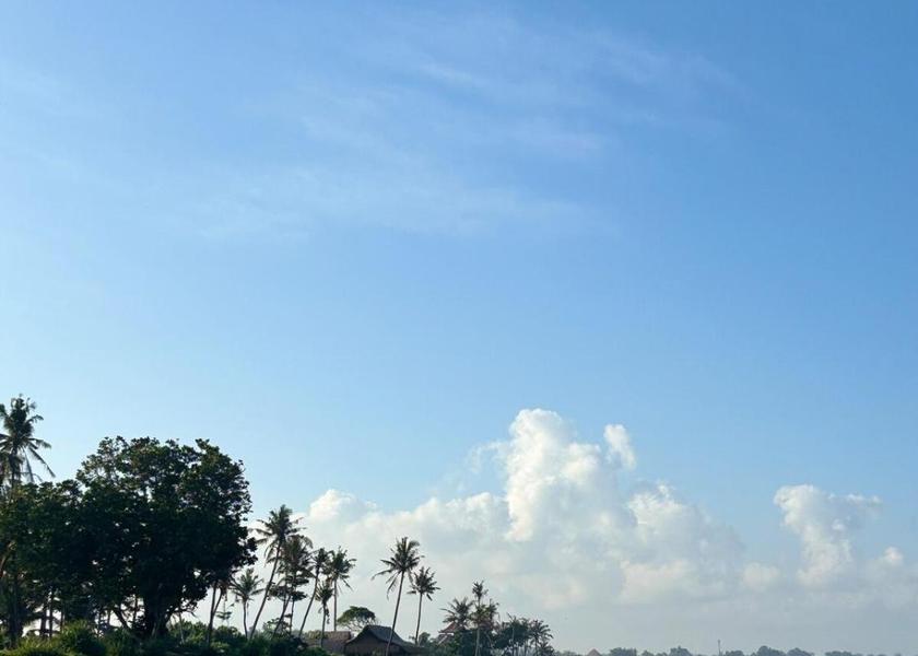 Bali Tabanan 