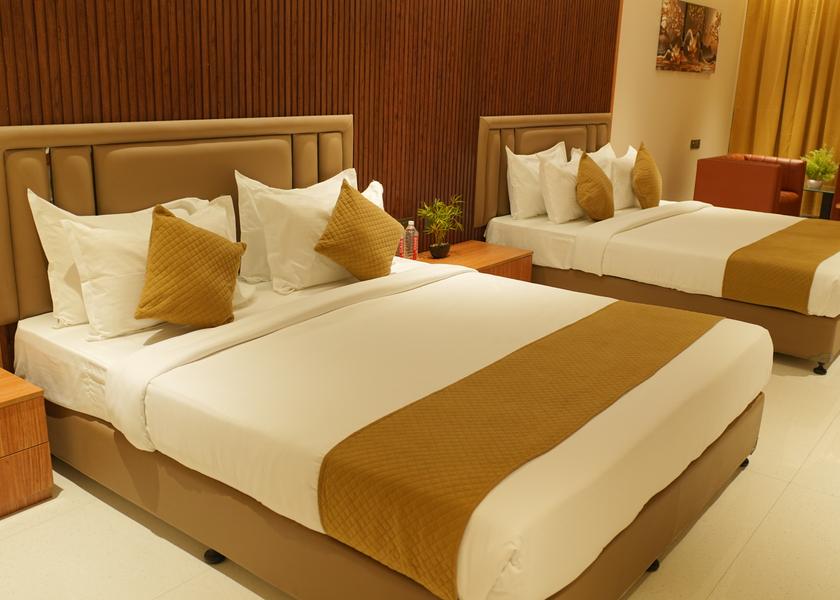 Chhattisgarh Raigarh Executive Room
