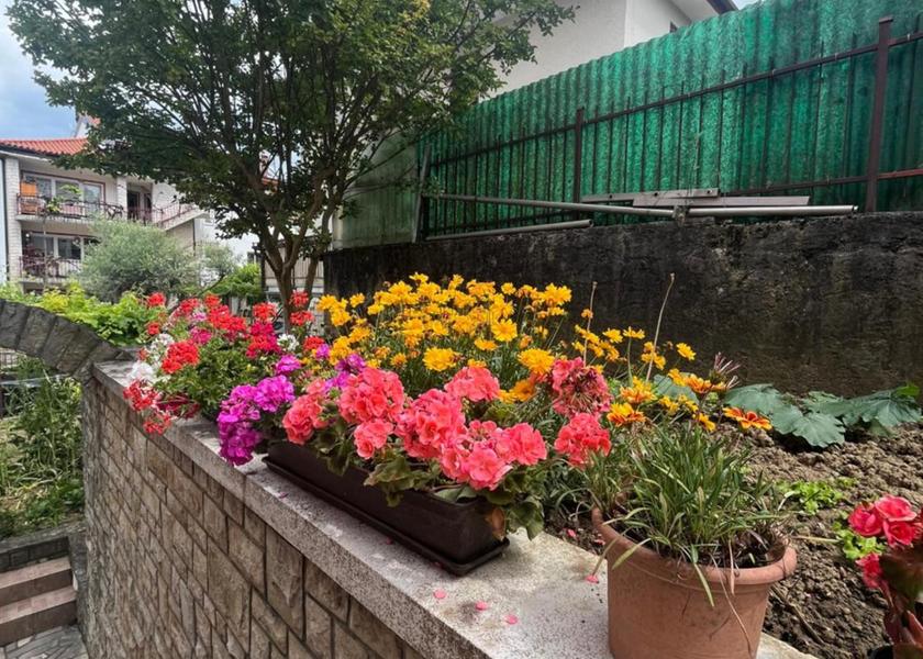  Izola Garden
