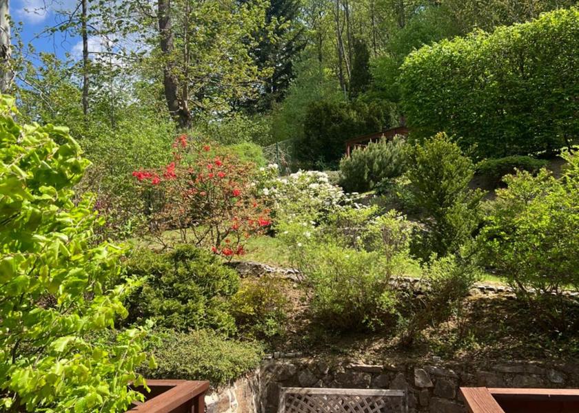 Karlovy Vary Region Marianske Lazne Garden