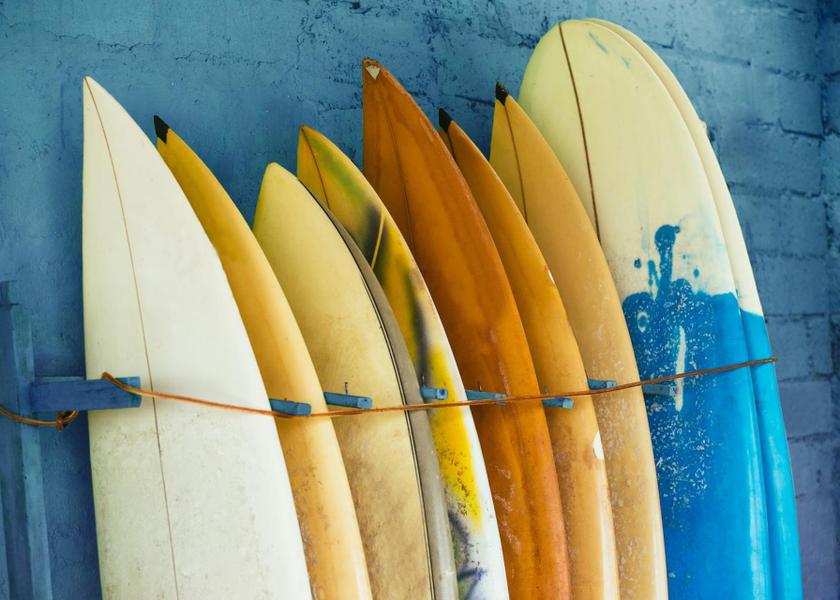 Bonaire Kralendijk Sports and activities