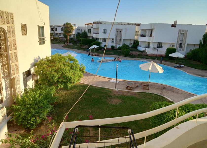 South Sinai Governorate Sharm El Sheikh Pool