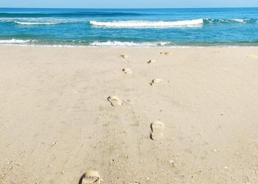 North Sinai Governorate Al Arish 