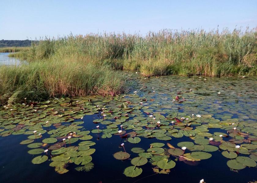 Chobe Kasane 
