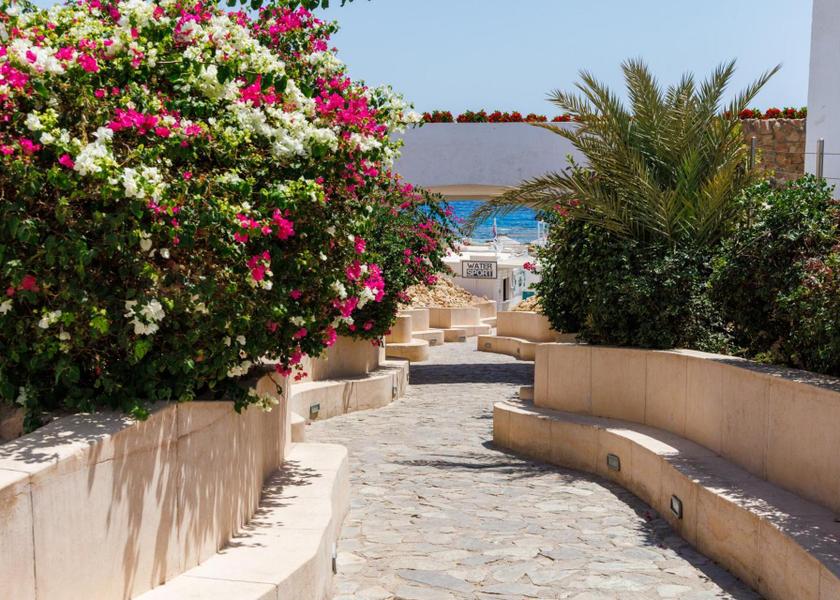 South Sinai Governorate Sharm El Sheikh View