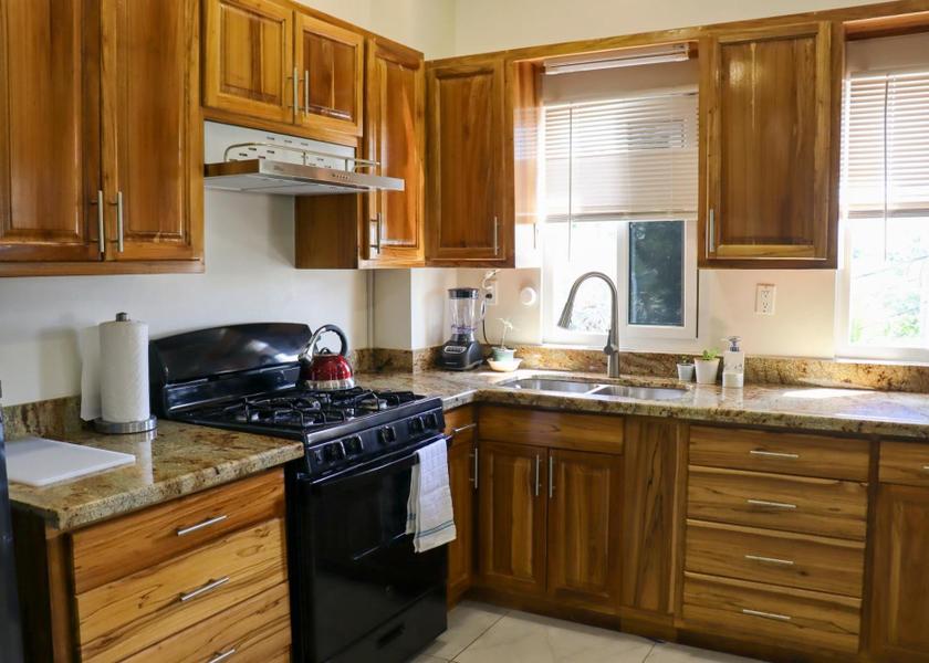 Stann Creek Placencia Kitchen