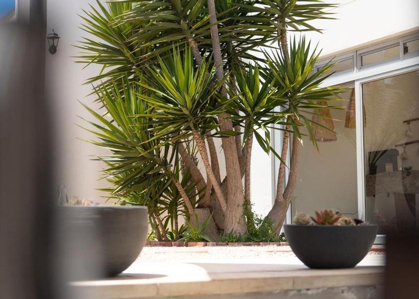 Erongo Region Swakopmund Garden