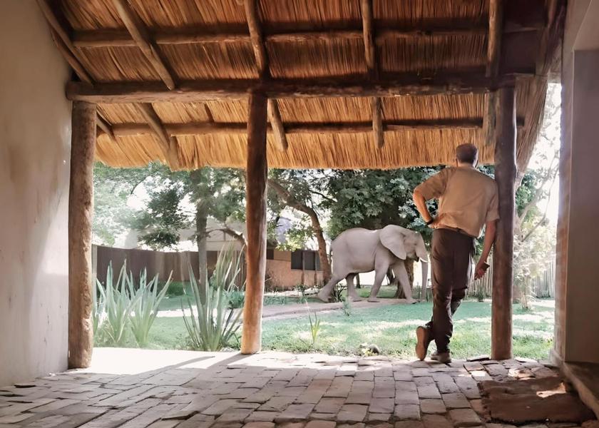  South Luangwa National Park 