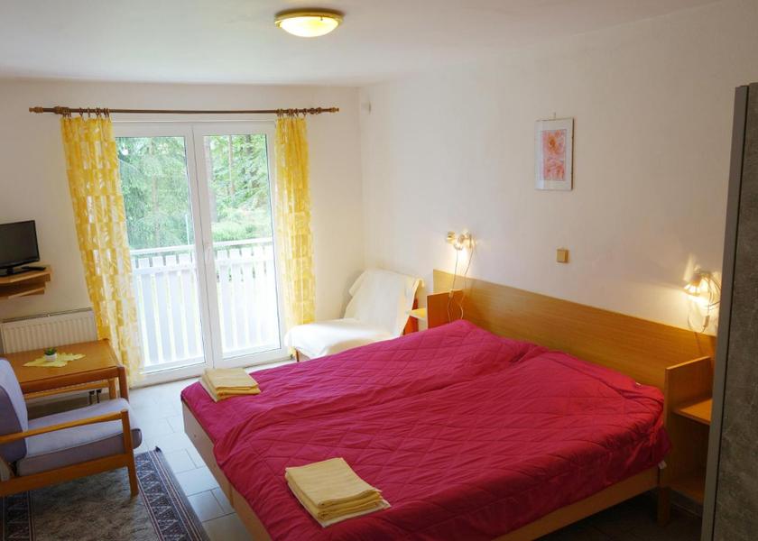 South Bohemia Region Lipno nad Vltavou Double Room with Private Bathroom