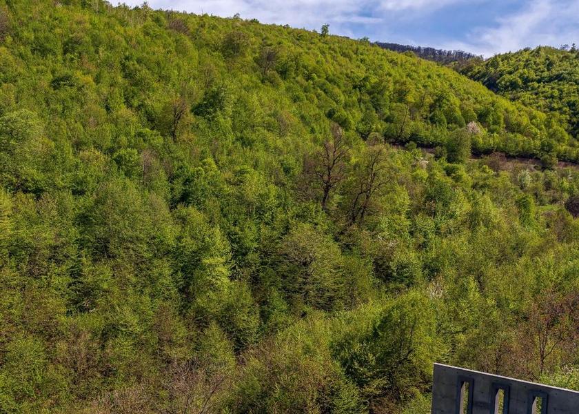 Tavush Province Dilijan Surrounding environment