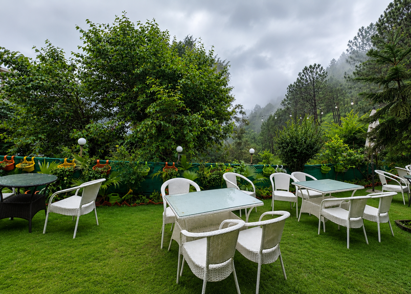 Himachal Pradesh Kasauli Others