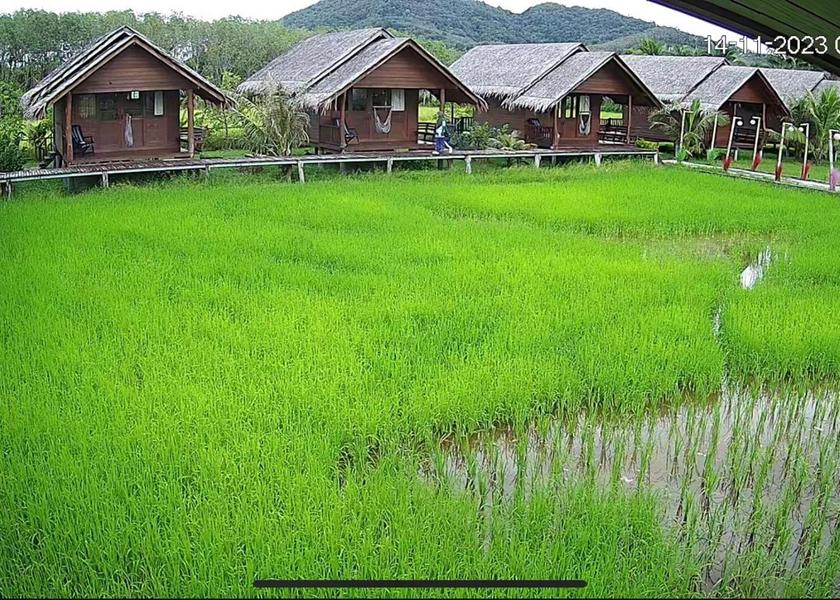 Phang Nga Province Ko Yao 