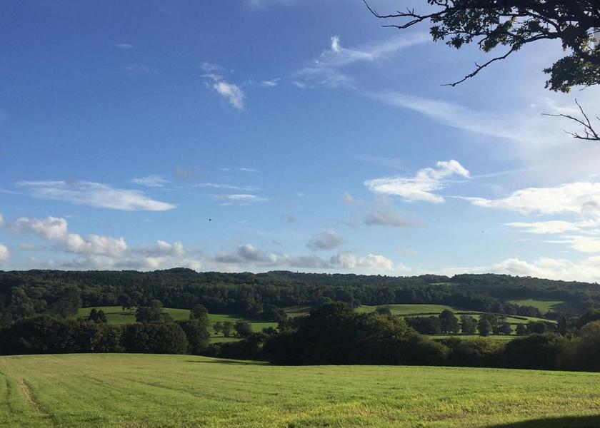 England Etchingham Surrounding environment