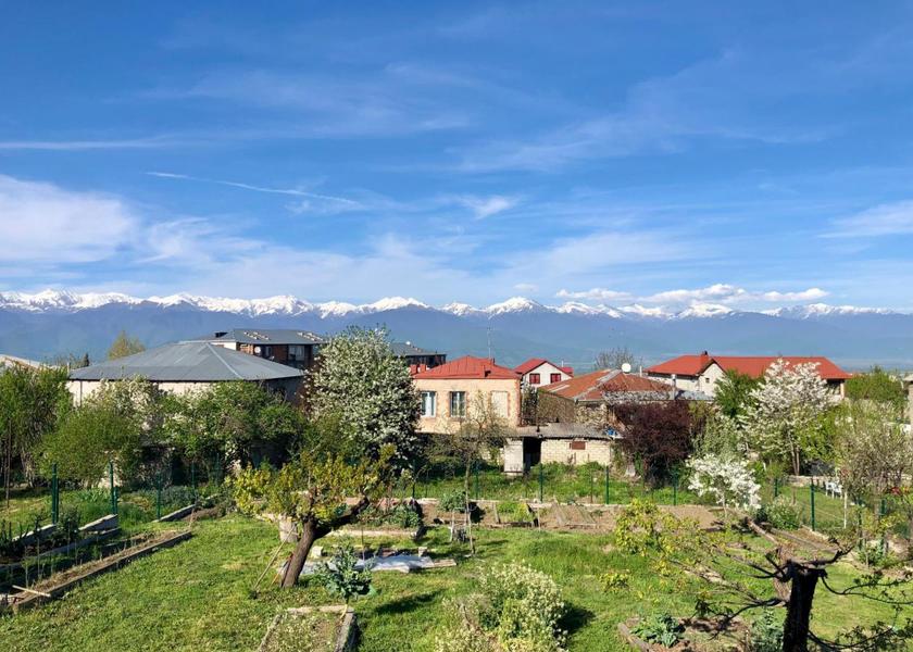 Kakheti Telavi View