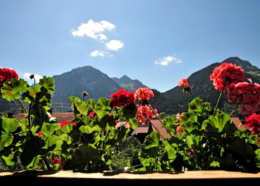 Bavaria Bad Hindelang View