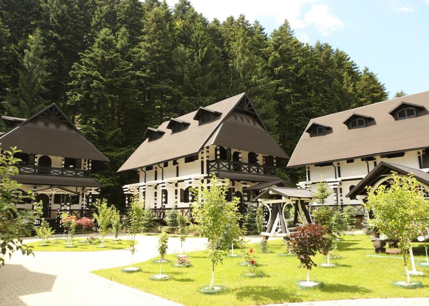 Suceava County Gura Humorului Garden
