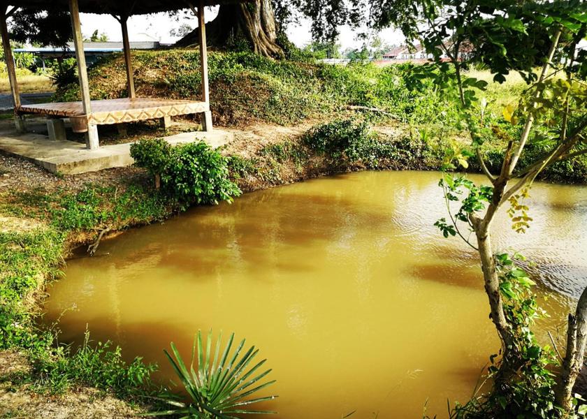 Perlis Arau 