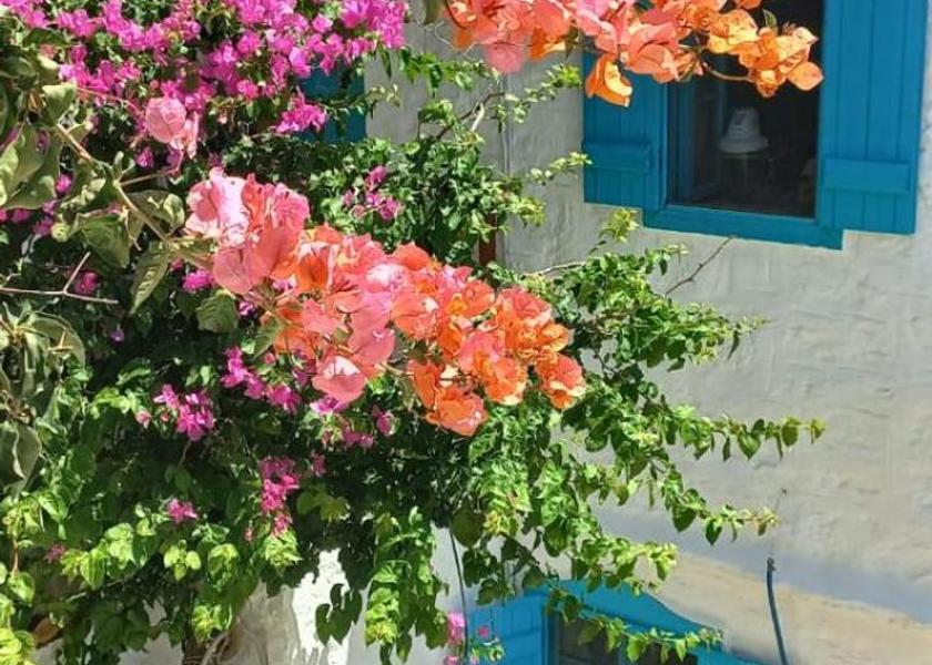 Muğla Datça Exterior view