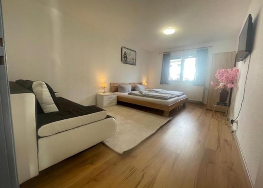Baden-Württemberg Uhldingen-Muehlhofen Guestroom