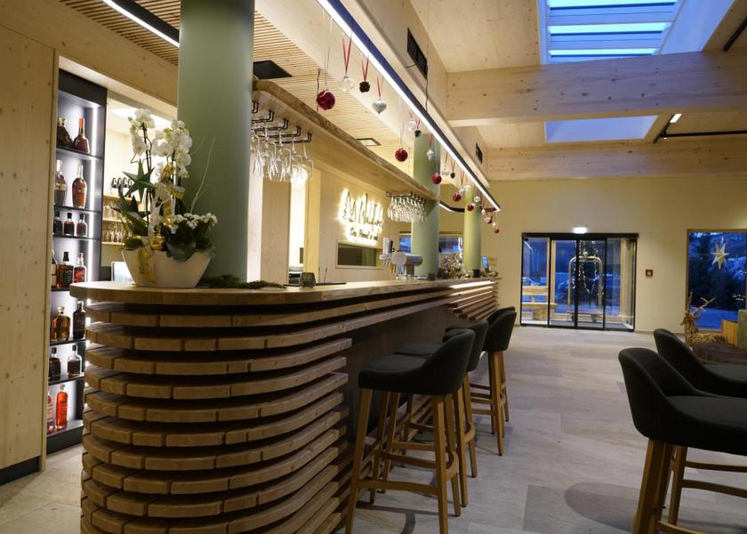 Baden-Württemberg Todtnau Bar/lounge