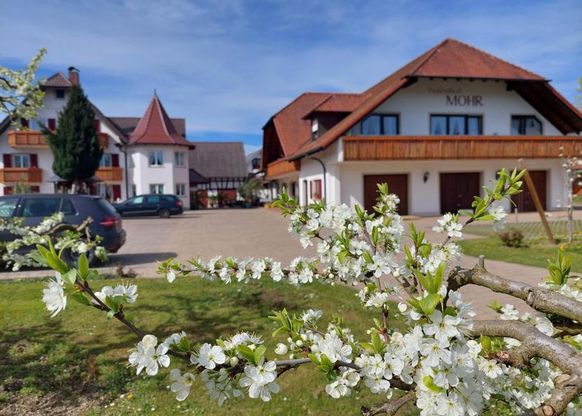 Baden-Württemberg Meersburg Exterior view