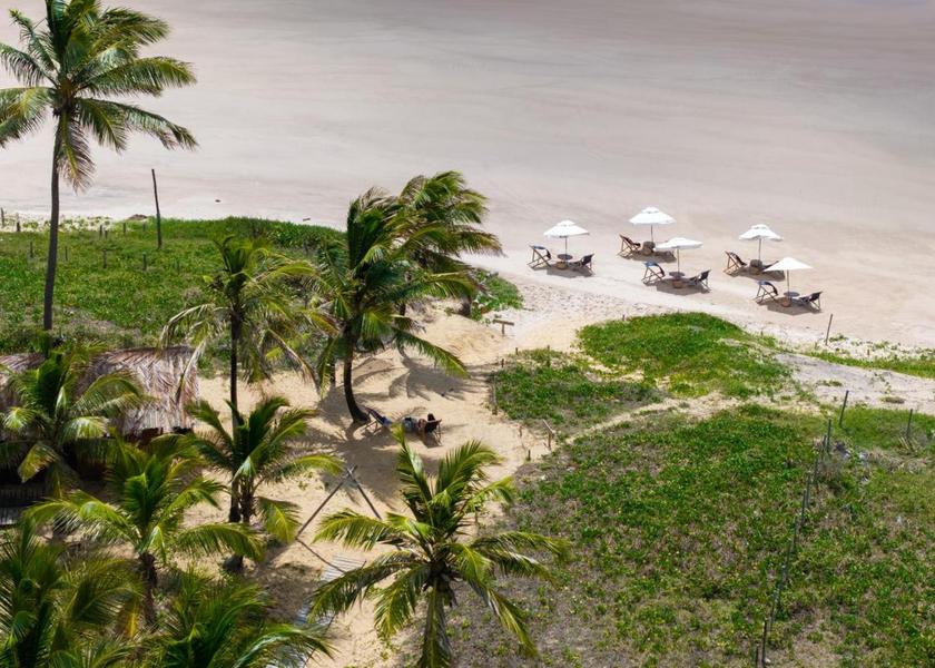 Bahia State Mata de São João 