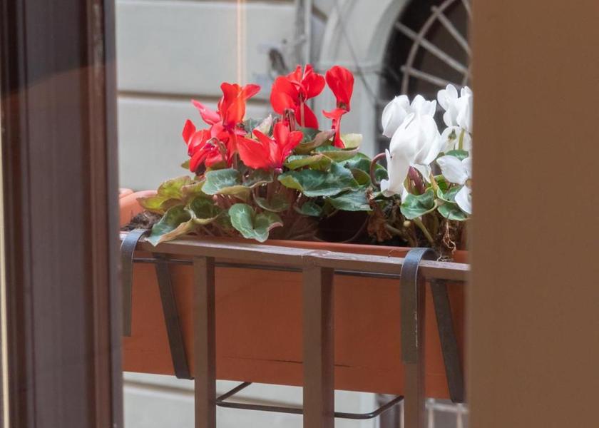 Campania Nola Balcony/terrace
