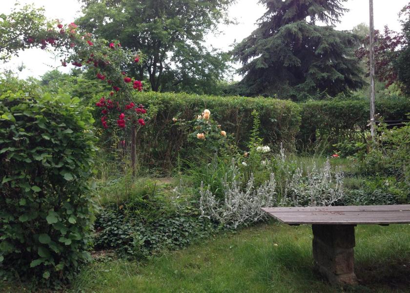 Saxony Pirna Garden