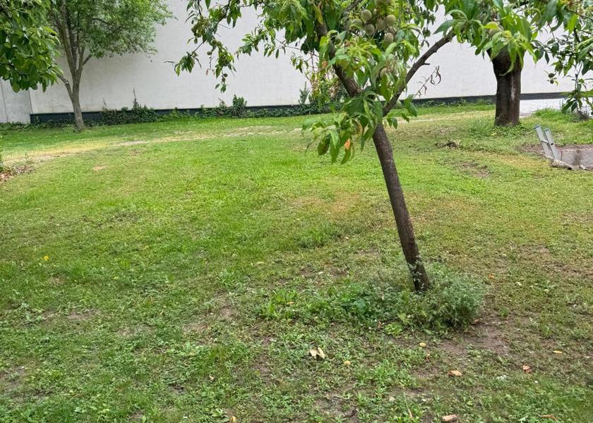 Burgenland Frauenkirchen Garden