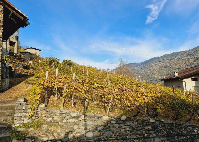 Lombardy Teglio 