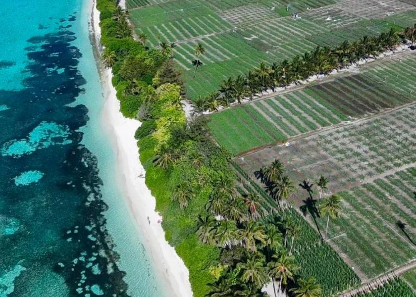 North Ari Atoll Thoddoo 