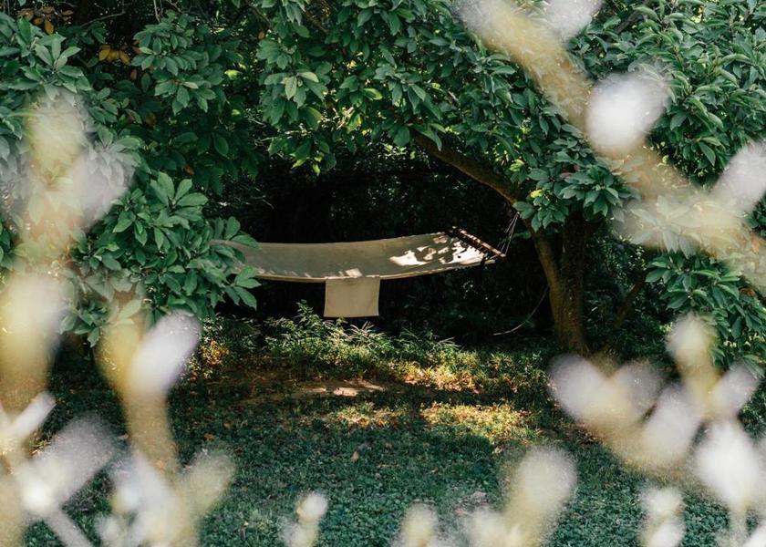 Occitanie Laudun Garden