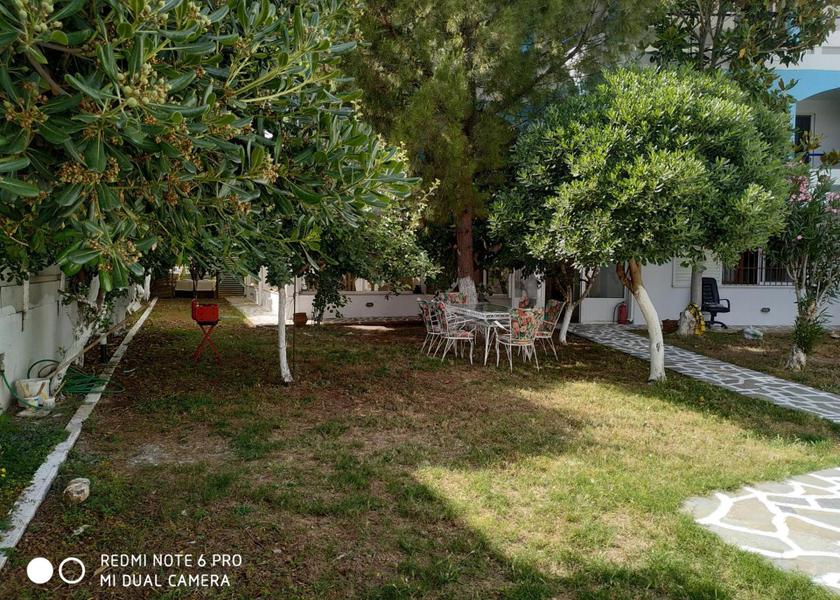 Central Greece Eretria Garden