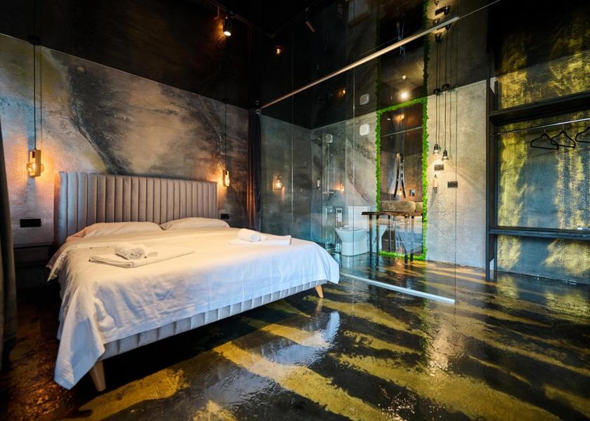 Hunedoara County Hateg Deluxe Room