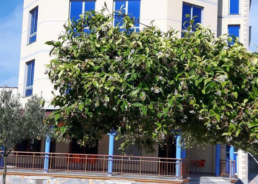 Shkodër County Velipoje Garden