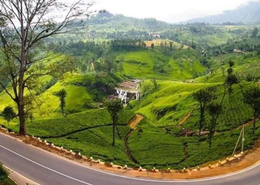 Central Province Nallathanniya 