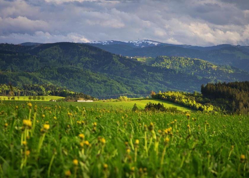 Baden-Württemberg Feldberg 