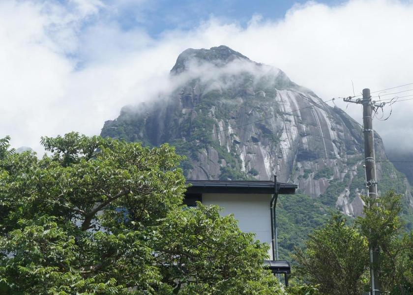 Kagoshima Yakushima 