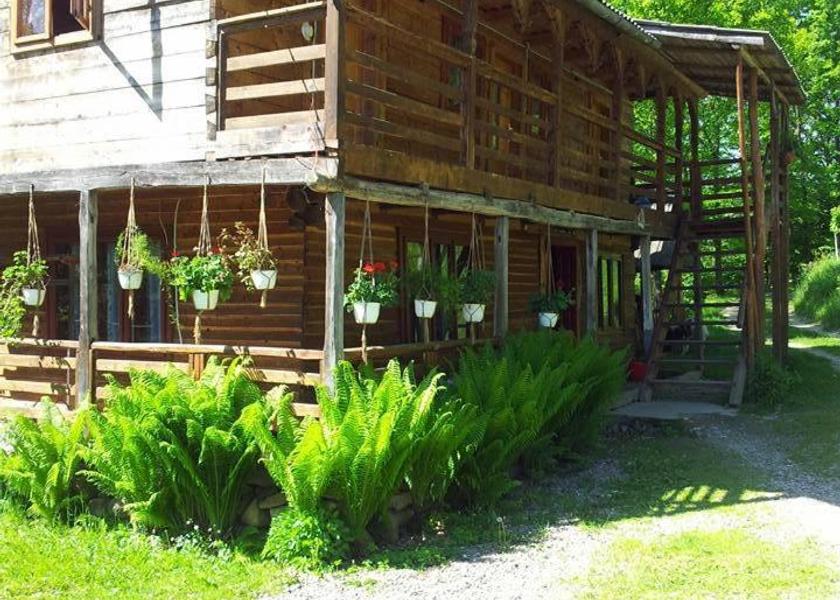 Maramureş Sighetu Marmatiei Hotel Exterior