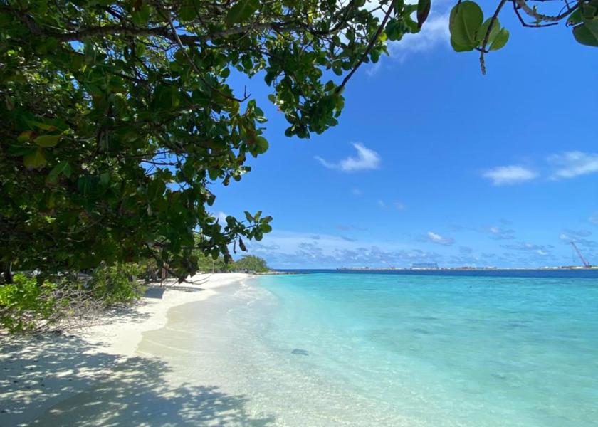 North Ari Atoll Thoddoo 