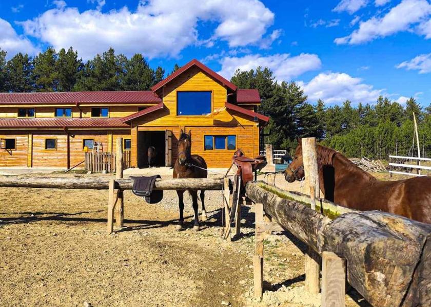 Municipality of Berovo Berovo Horseback riding