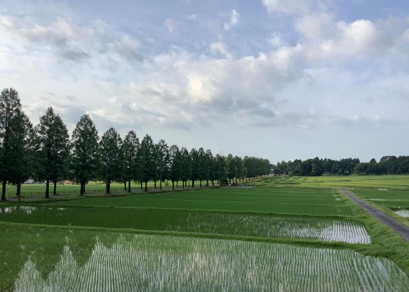 Shiga Takashima Facilities
