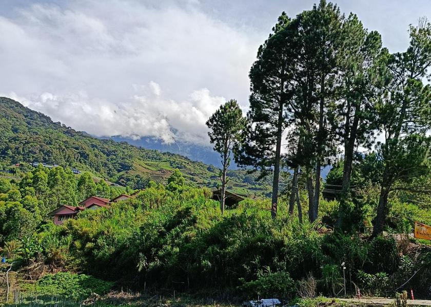 Sabah Ranau 